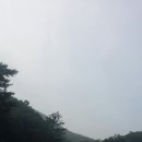 장호원/진달래 공원묘원 이미지