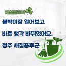 클로버 | 붙박이장 열어보고 마음 바뀌었던 청주 새집증후군 세잎클로버 후기