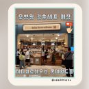 에그카페24신안2호점 | 잠실 롯데월드몰맛집 테디뵈르하우스 겉바속촉의 정석 에그타르트[포장,웨이팅]