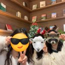[용인/기흥] 흥덕 광교 프라이빗 공간대여 장소대관 유미서재 주차 이용금액 솔직후기