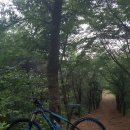 복운1리 | 송악산/동네뒷산(8/6일)