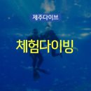 형제스쿠버
