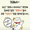 모두의 점핑 영양클럽