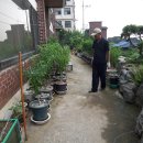 동산약국 이미지