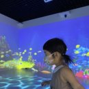 작은나무도서관 이미지