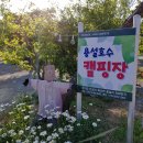 용설호수길 이미지