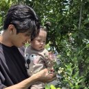 용인 가볼만한곳 경기도 헤븐온어스 블루베리 체험농장 방문전 필독사항
