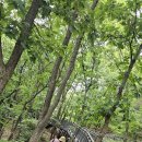 봉산 Daum카페