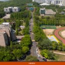 봉담중흥에듀파크공인중개사사무소 | [부동산 전망] 화성 봉담, "상승할 수밖에 없는 4가지 이유" #화성특례시 #봉담아파트 #효행지구 #해든...