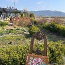 황룡stay 이미지