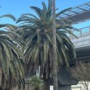 정안호스텔 이미지