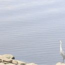 박종순「춘천」 이미지