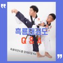 흑룡체육관 이미지