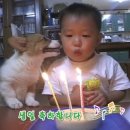 유진캣 | 사진 찍고 엄청 먹어