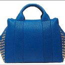 다즐링(Dazzling) 이미지