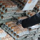 화성농협하나로마트 이미지