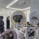 기영이 숯불 두마리 치킨 경북상주점 이미지