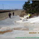 섬안농장 이미지