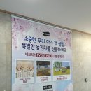 이천 돌잔치 장소 대여 &#34;비브릭스&#34; 조카 돌잔치 방문 후기