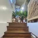 부들세부 boodle cebu 아이티파크 맛집 it park 부들파이트 나도 먹고옴