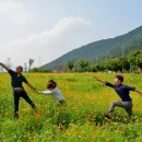 코스모스 산업 이미지