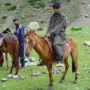 로시난테 이미지