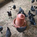 아성슈퍼 이미지