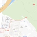 숲속의 쉼터민박 | [연희숲속쉼터] 홍대 숨은 서울 벚꽃놀이 명소 🌸 4월 개화상태·피크닉·시설·카페 총정리