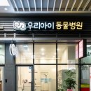 우리아이 동물병원 이미지
