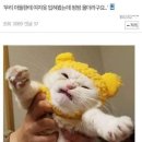 종길 Daum카페