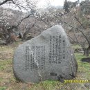 제422차 광양쫏비산산행+매화축제 (2013,03,27) 이미지