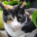 구성꽃백화점 이미지