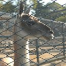 달성공원 이미지