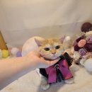 놀러와캣독 이미지