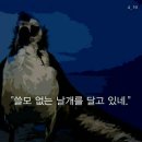 알바트로스 이미지