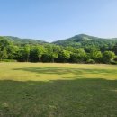 용인자연휴양림4 이미지