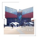 아쿠아리움/유람선 패키지/티켓 구입 방법/오사카항 범선형 관광선 산타마리아 크루즈 유람선 탑승 후기