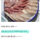 꼬모안경 이미지