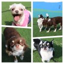 봉주르봉구 이미지