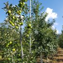 태송농원 이미지