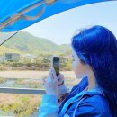 문경 철로자전거(구랑리역) | 문경 눈물의여왕 촬영지. 구랑리역, 문경철로자전거진남역, 가은아자개시장 (문경여행지 추천)