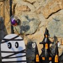 펫츠런파크 이미지