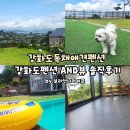 애견시선 | 강화도독채애견펜션 찾다가 고민 끝에 다녀온 감성팬션 AND뷰 솔직후기