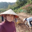 라온(RAON) 이미지