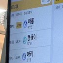 88번째 주간일기(24년 2월 기록.4)