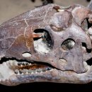 테논토사우루스 이미지