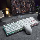 체리PC | 체리 CHERRY XTRFY MX 8.2 PRO TMR TKL &amp; MW5500 무선 게이밍 키보드 마우스 사용 후기