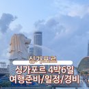 403005 | [싱가포르]싱가포르 4박 6일 여행기 - 여행준비/일정/경비