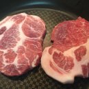 두지프로바이오틱스(주) 이미지