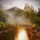 생태환경 평생학습강사 양성과정 | 숲 환경해설가 - 자연과 사람 사이의 연결자 - 지식 한 알